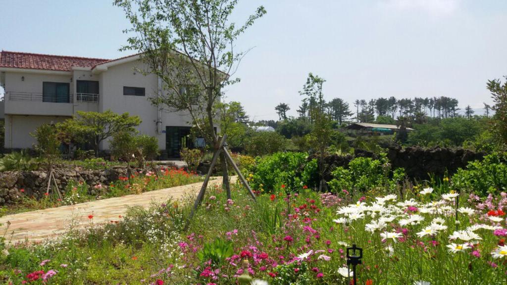 فيلا Baghdad House جيجو المظهر الخارجي الصورة